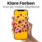 Bild 7 von 8