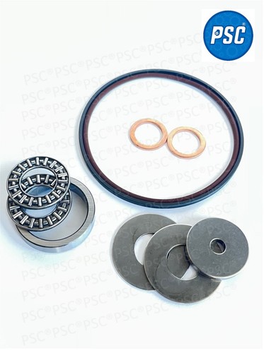 SINGLE VANOS O-RING SEAL REPAIR KIT ANTI RATTLE for BMW 3 5 7 Z3 Z4 X3 X5 - Bild 2 von 6