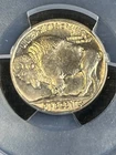 🦬 1916 Buffalo Nickel PCGS MS65+