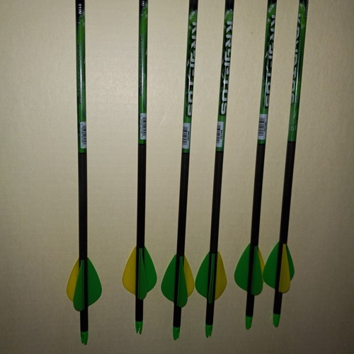 Allen Archery KRYPTOS 31 in. 50-70 Lbs 12 For $35 Doz
