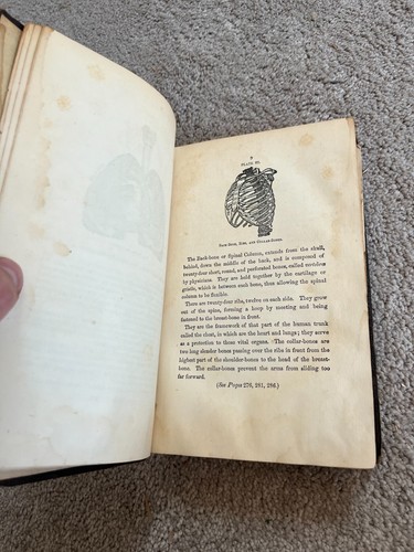 1870 Mystery of Medicine 1ed Poisons Diet Good Health Narcotics Gout Midwifery - Picture 8 of 9