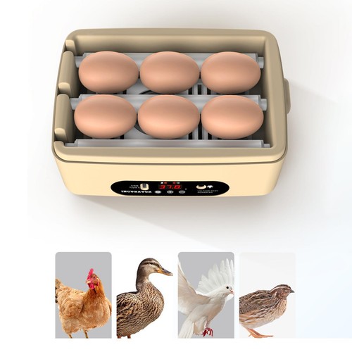 Mini Egg Incubator Automatic Digital Poultry Egg Hatcher Egg Candler Hatching UK - Picture 9 of 12