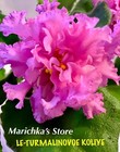 Le-Turmalinovoe Kolye, Leaf African Violet, Russian/Ukrainian, Gorgeous