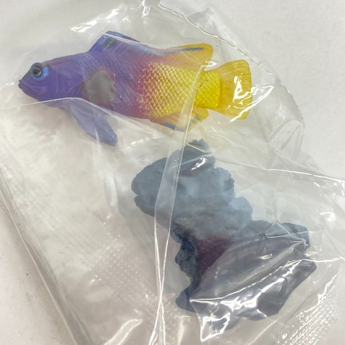 Yujin Salzwasserfisch 1 Miniatur Figur Royal Gramma Import Japan - Bild 5 von 6