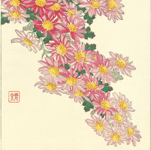 Kawarazaki Shodo Flor Estampado en Madera Rosa Flor Crisantemo - Imagen 8 de 10