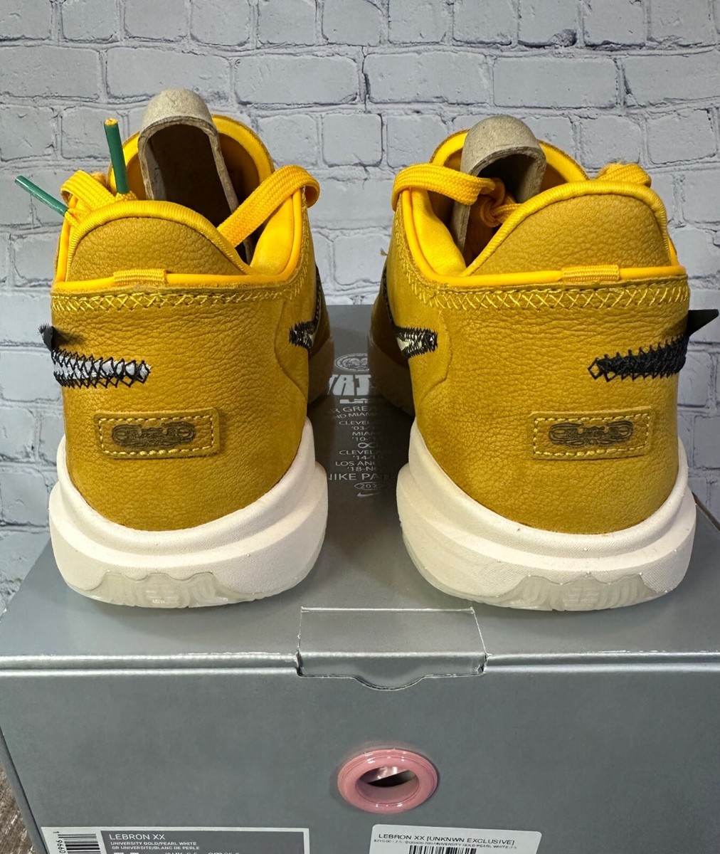 Nike Lebron 20 Unknwn Art Basel South Beast ( Miami