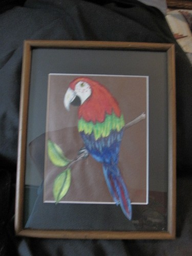 Hand Colored Parrot Cutout Colorful Picture "no frame included" - Picture 9 of 11