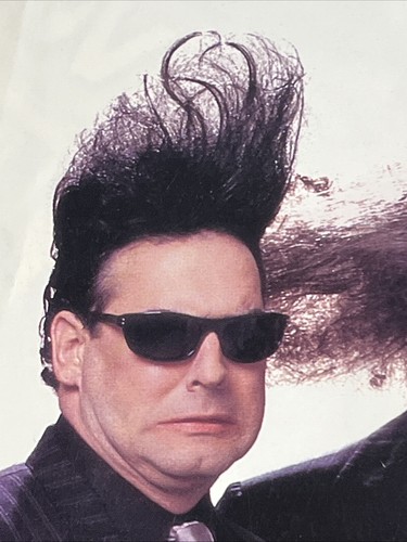 Póster promocional “Weird Al” Yankovic Bad Hair Day Record Store 12”x24” MUY USADO - Imagen 17 de 18
