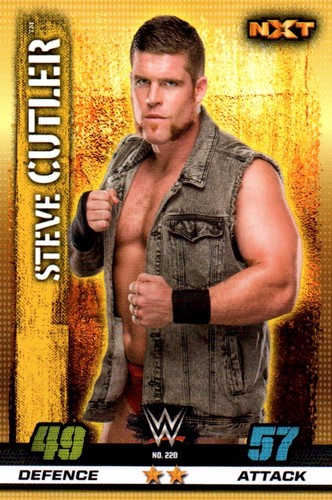 WWE WWF RAW TOPPS Slam Attax 10th Anniversary 2017 UK Wrestling Trading Cards - Picture 48 of 105