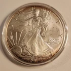 American Silver Eagle Coin, 2002 - 1oz .999 Fine Silver Bullion, Toning