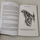 Picture 22 of 24