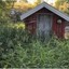 shoalcreekchic