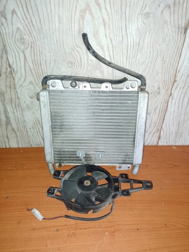 Radiatore di Raffreddamento Liquido/Acqua Originale PIAGGIO BEVERLY 500 (03/07) - Foto 24 di 24