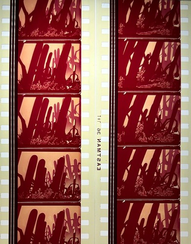 Walt Disney's Fantasia 1940 Rare Cells From The Original Eastman Version - Afbeelding 6 van 72