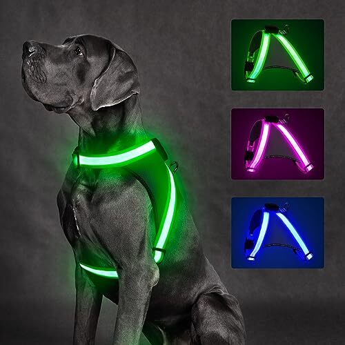 Arnés para Perros Iluminado, Arnés para Perros LED Sin Tirar Brilla en la Oscuridad para Verde Grande - Imagen 1 de 6