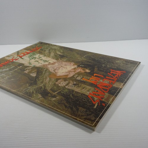 Yesterday's Lily By Jeffrey Jones Paperback 1980 VGC Art Biography book illust - Picture 16 of 18