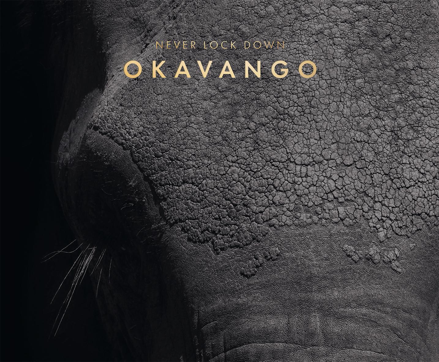 Thumbnail - Never Lock Down Okavango | Bettina Rumpf | Buch | 337 S. | Deutsch |