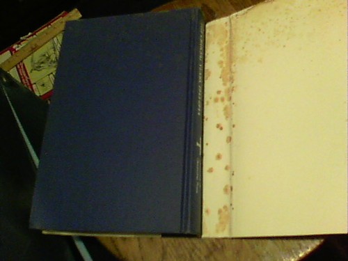 Charles de Gaulle The Crucial Years 1943-1944 by Arthur Layton Funk - Bild 5 von 6