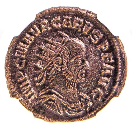 NGC ( VF ) Carus Aurelianianus / Antoninianus AD282 - 283 NGC Ancients Certified - Picture 2 of 3