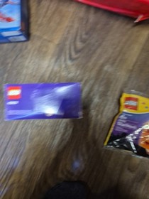 LEGO Seasonal: Vampire and Bat (40203)