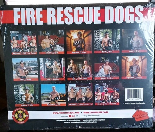 Kalender 2025 Feuerwehr Hunde - NEU - Lifeline Puppy Rescue - kostenloser Versand - Bild 2 von 5