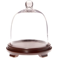 Plymor 7.875" x 9.5" Bell Jar Glass Display Dome Cloche, Wood Veneer Footed Base