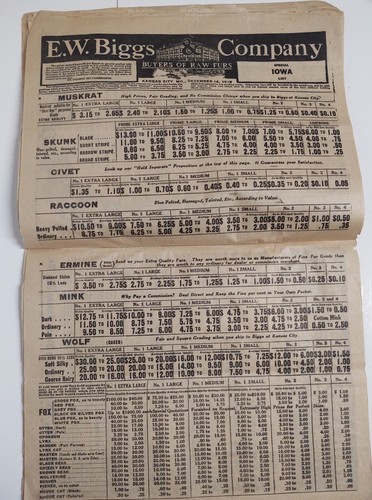 1918 Vintage Trappers Exchange Furs Hides E.W Biggs Kansas City Missouri 31 Page - Picture 8 of 18