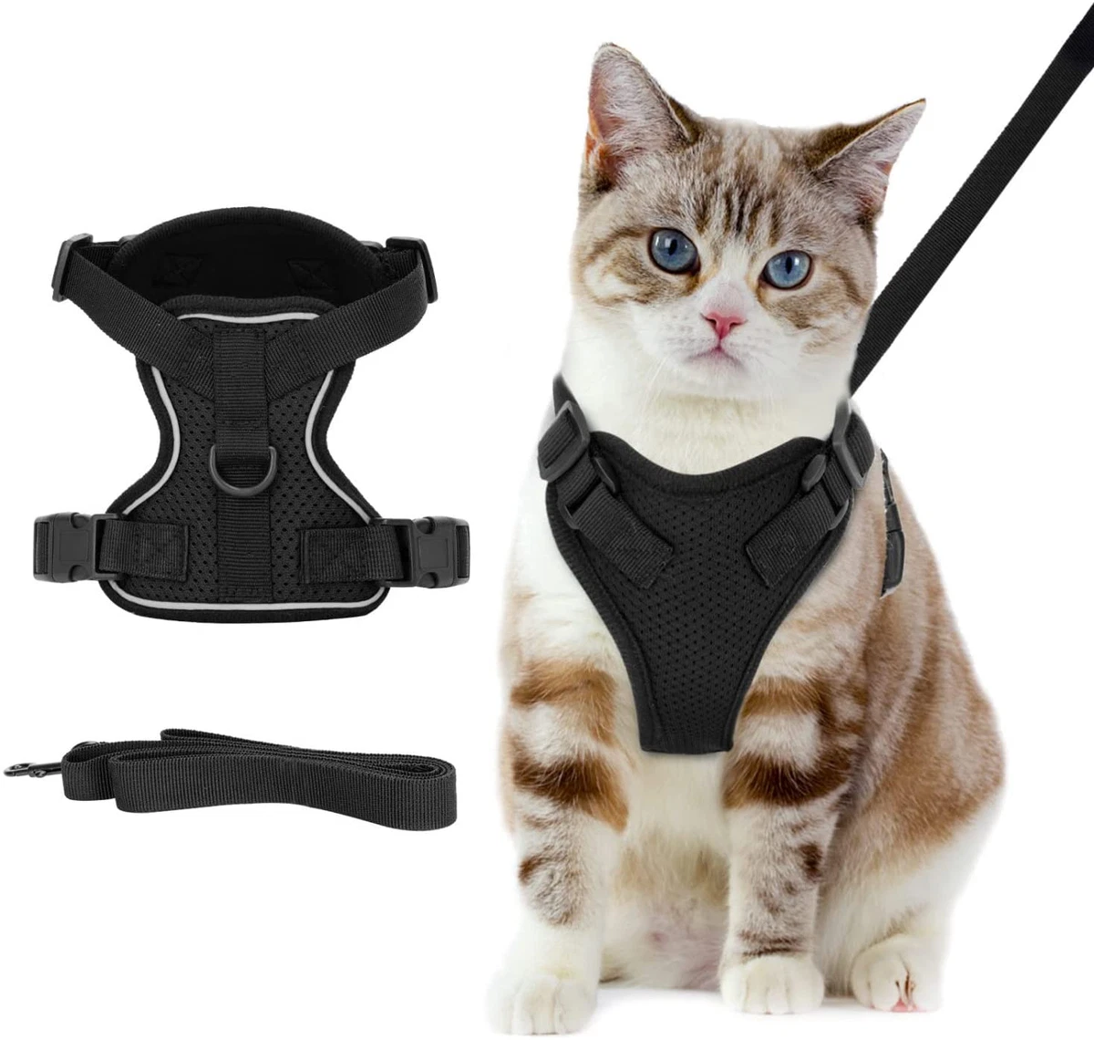 Travel cat sale harness and leash