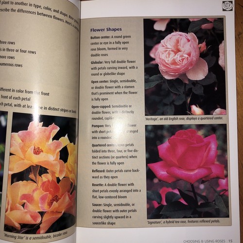 Rodale Organic Gardening Basics: Roses - Picture 6 of 9