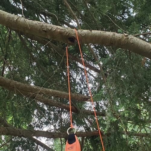 Arborist Climbing Throw Line 3 mm (1/8 in) 150 ft Spool Cord 350 lbs Tensile - Picture 6 of 42