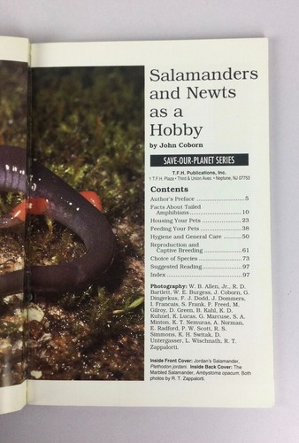 Salamanders and Newts as a Hobby (Save Our Planet) By John Cobor - Picture 5 of 5