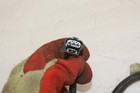Foto 13 di 17