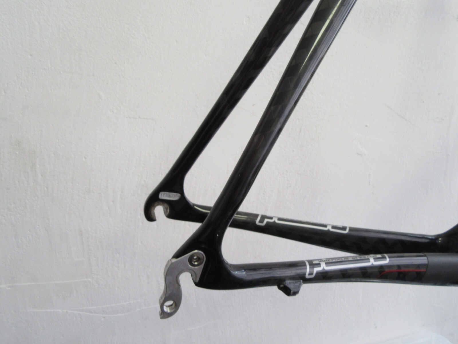 focus cayo frameset