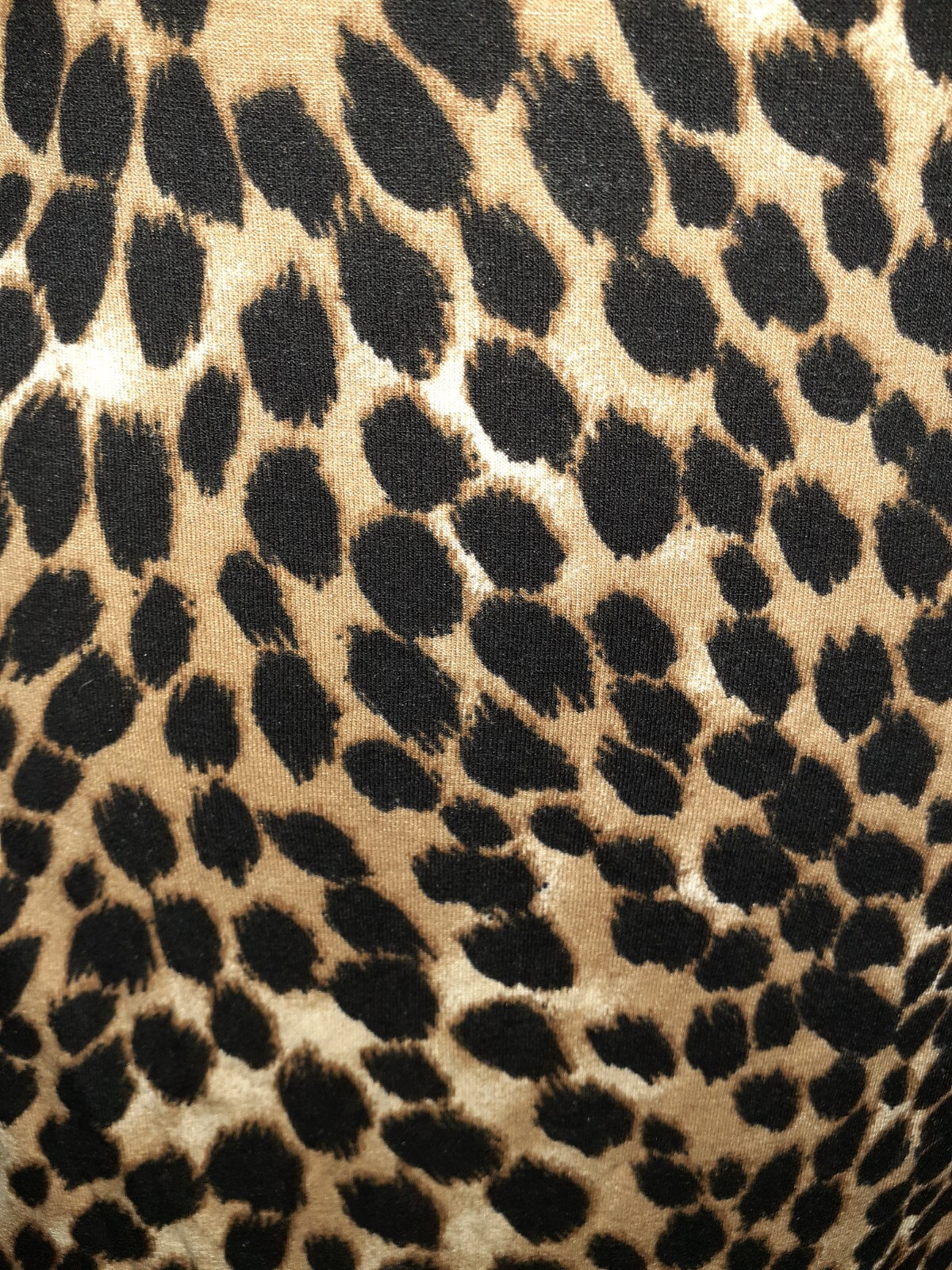 Picture 2 of 4