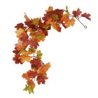 Bild 12 von 21