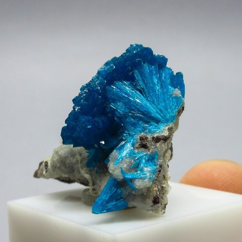 Cavansite on matrix  (non precious natural stone) # 4244 - Picture 5 of 6