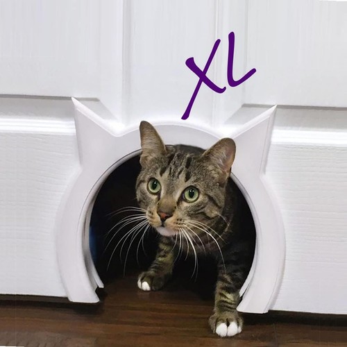 Interior Pet Door - Cat Hole for XL Cats - Picture 4 of 9