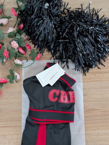 Cheer Leader School Uniform Top and Skirt Adult Cosplay Costume Themed Lingerie - Picture 6 of 6