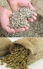 5KG Green Raw Hand Picked Tanzanian 100% Arabica Coffee Beans, Grade AA