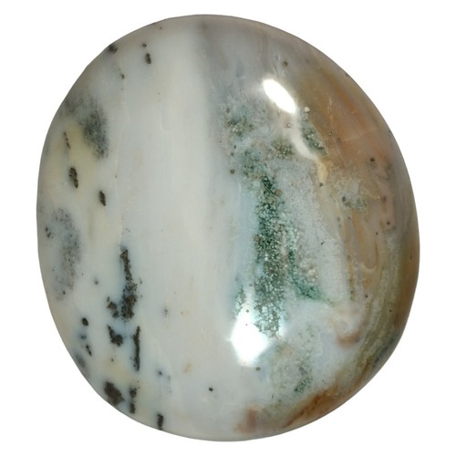 Jaspe oceánico de Madagascar 65x59 mm - 126 g espécimen de exhibición de palma grande (806) - Imagen 4 de 10