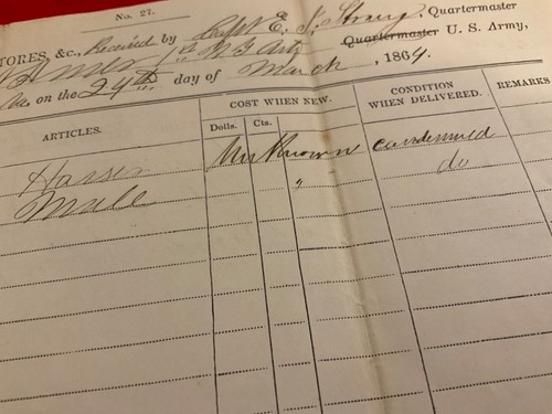 AR 22 CIVIL WAR 1st NEW YORK ARTILLERY HORSES & MULE BRANDY STATION VA 1864 - Picture 7 of 15