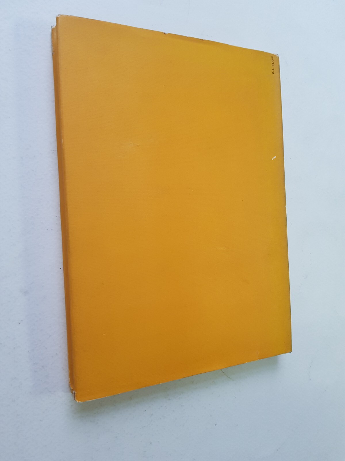 Foto 2 di 3