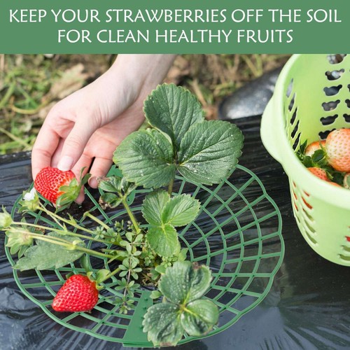 5/10PCS Strawberry Stand Frame Holder Balcony Planting Rack Fruit Support Stand - Picture 2 of 12