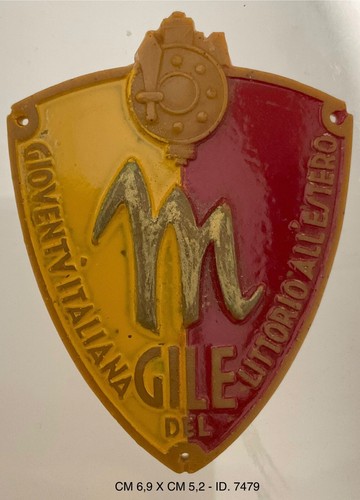 GIOVENTÙ ITALIANA DEL LITTORIO ALL’ESTERO GILE SCUDETTO DA BRACCIO IN BACHELITE - Picture 5 of 6