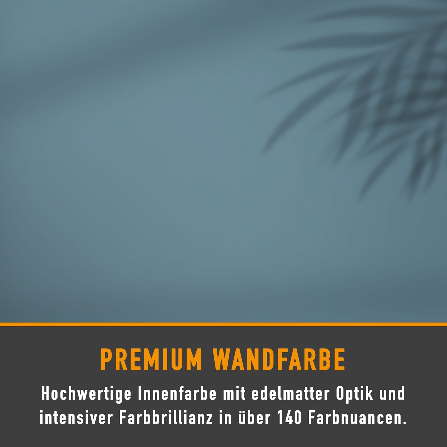 Bild 8 von 74
