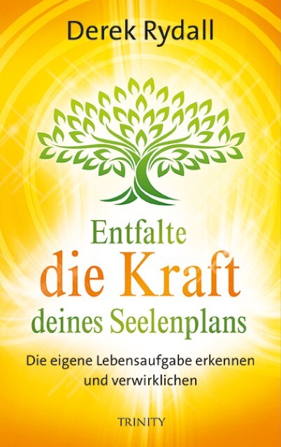 Thumbnail - Entfalte Die Kraft Deines Seelenplans Derek Rydall 9783955502133