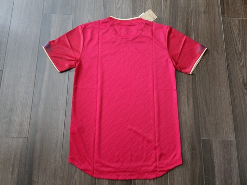 Maglia Home Nazionale Calcio Vietnam 2023, Nuova con etichette, 100% Originale - Foto 4 di 6