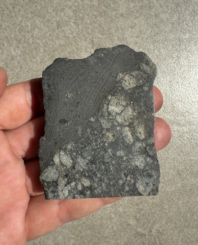 NWA 15658 meteorite achondrite eucrite 63.7 g - Picture 1 of 4