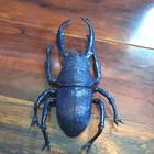 Realistic Black Stag Beetle Model Plastic Size Medium Halloween, Home Decor, etc