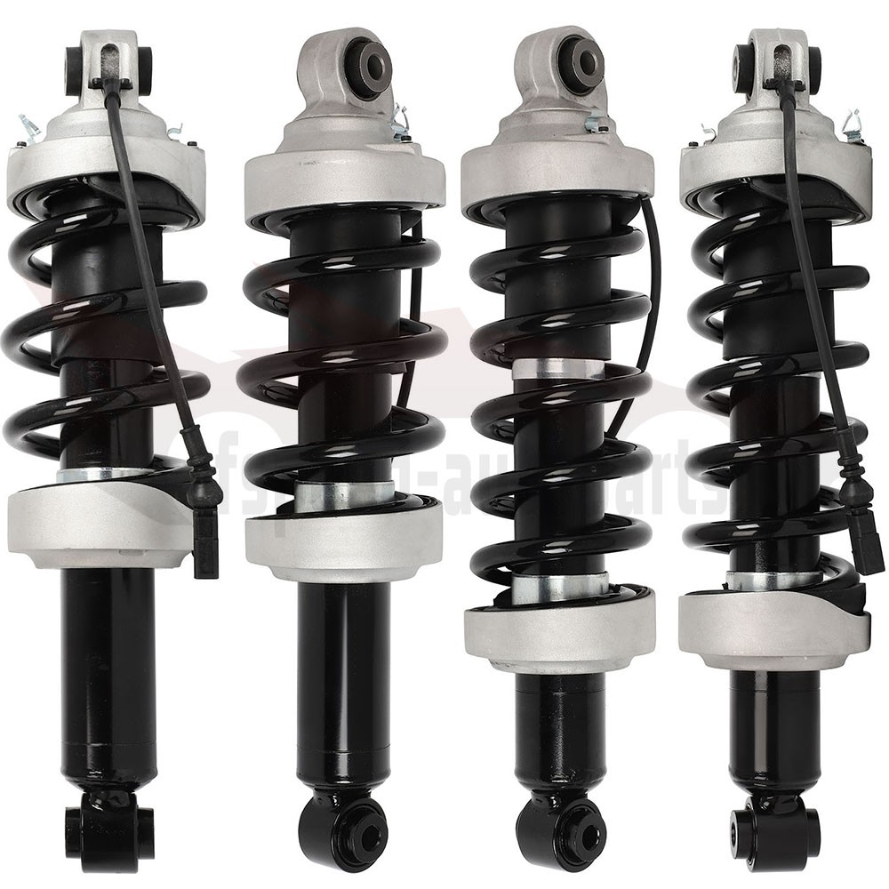 Front & Rear Air Suspension Electric Shock StrutsFor Audi R8 V8 V10 2007-2015
